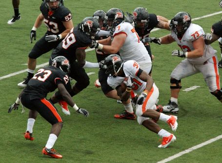 Storm_woods_dsc03162_medium