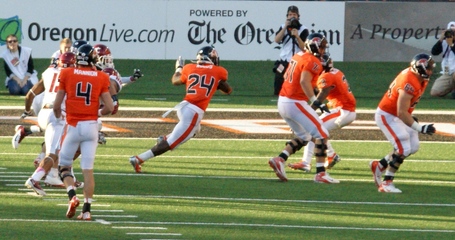 Storm_woods_dsc04362_medium