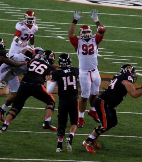 Star_loutelelei_dsc04952_medium