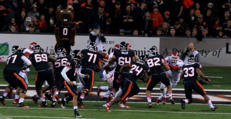 Storm_woods_dsc04942_medium