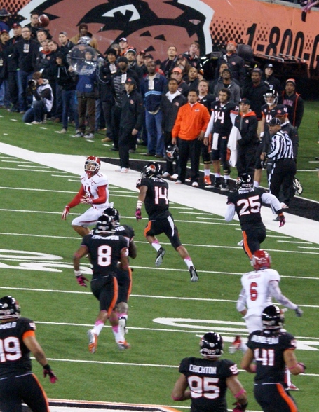 Luke_matthews_dsc04895_medium