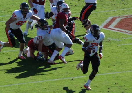 Storm_woods_dsc05932_medium