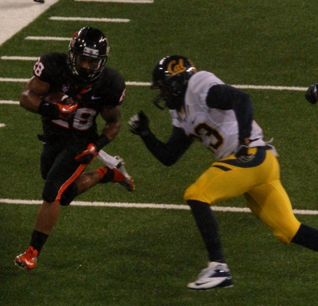 Terron_ward_dsc06451_medium