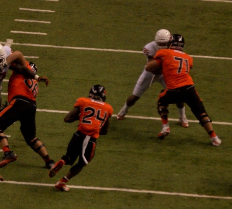 Storm_woods_dsc07953_medium