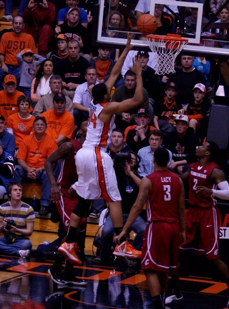 Devon_collier_dsc08365_medium