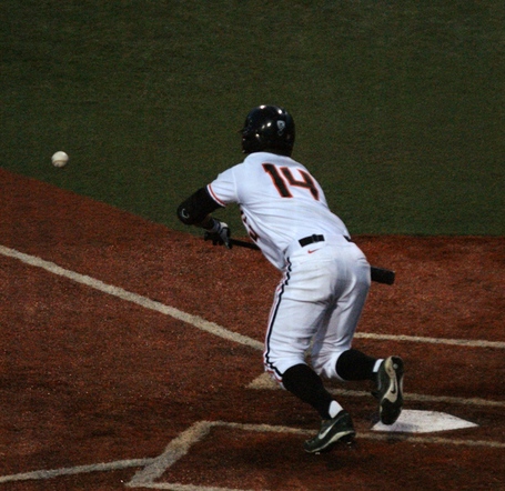 Andy_peterson_dsc07861_medium