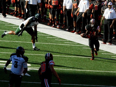 Storm_woods_dsc09246_medium