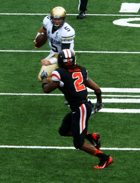 Steven_nelson_connor_wood_dsc00053_medium