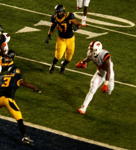 Storm_woods_dsc00864_medium