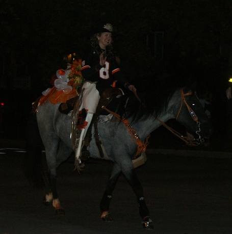 Horse_dsc00922_medium