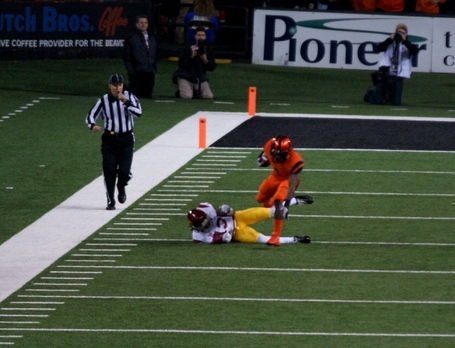 Chris_brown_dsc01485_medium