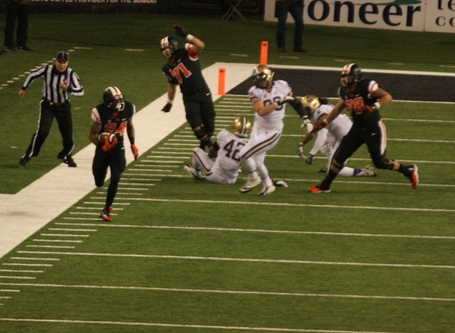 Storm_woods_dsc02232_medium