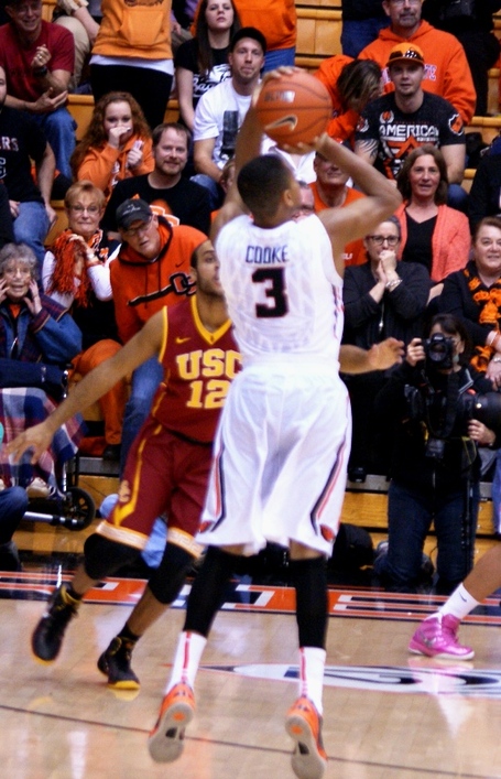 Hallice_cooke_dsc03386_medium