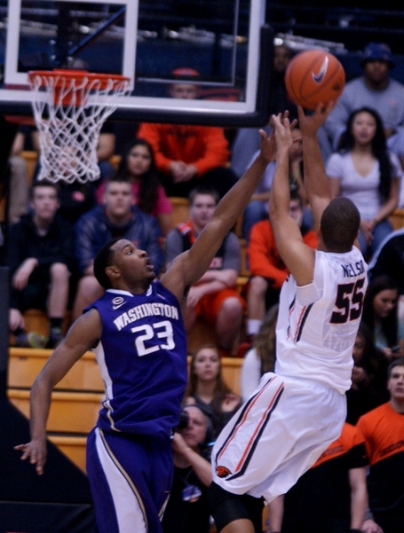 Roberto_nelson_dsc03528_medium