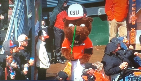 Benny_sweeping_up_medium