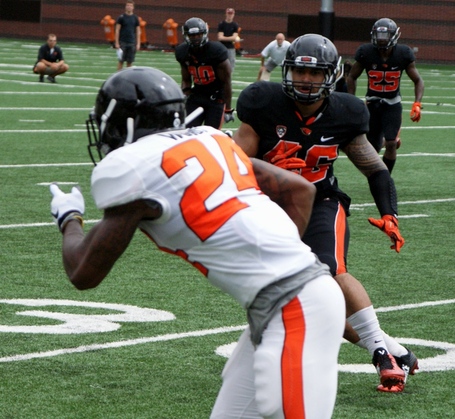 Storm_woods_dsc07514_medium