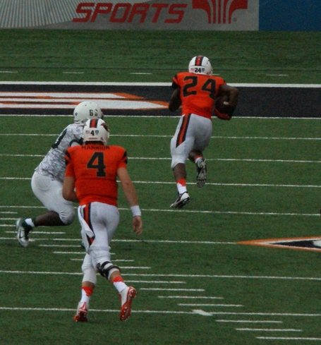 Storm_woods_dsc04850_medium