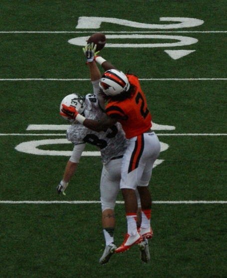 Steven_nelson_dsc04741_medium