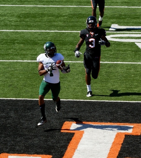 Brandyn_reed_td_dsc05002_medium