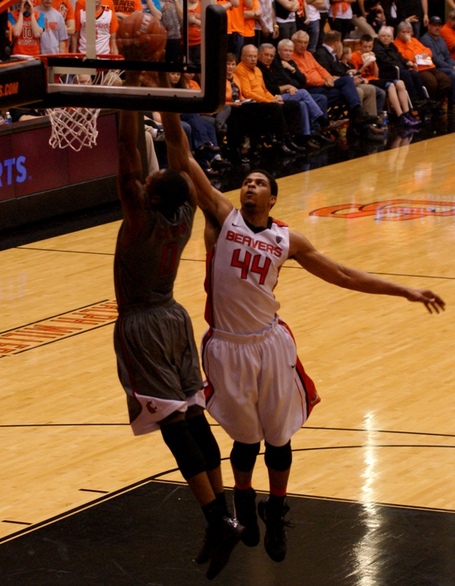 Marcus_capers_dsc00090_medium