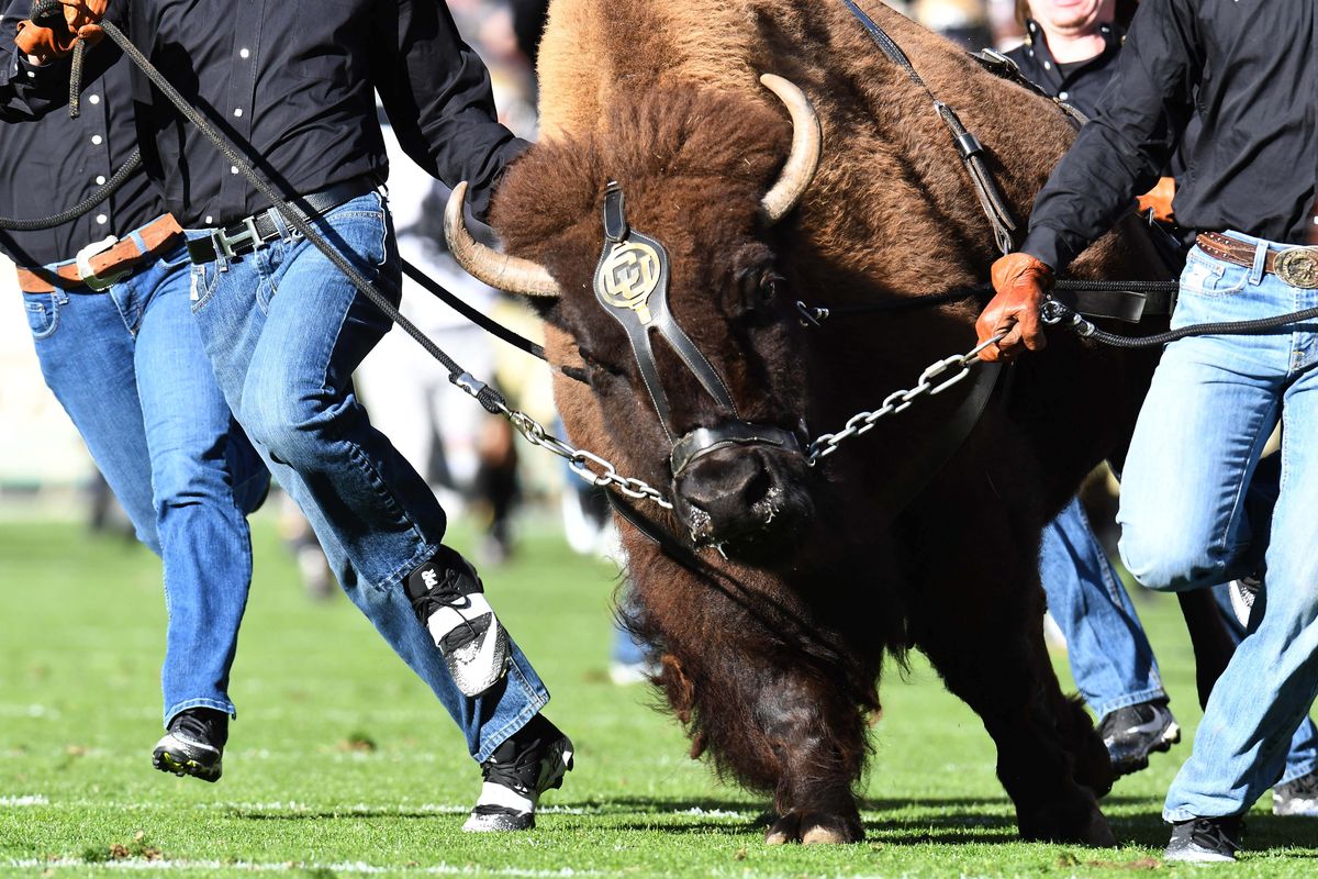 NCAA Football: Southern California at Colorado