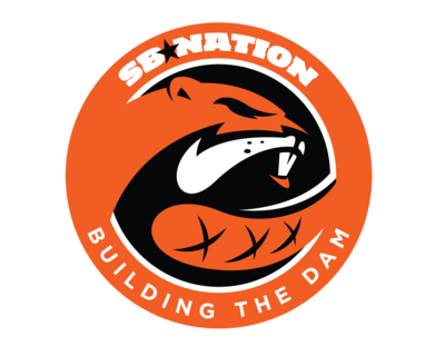 Large_buildingthedam.com.full.24463